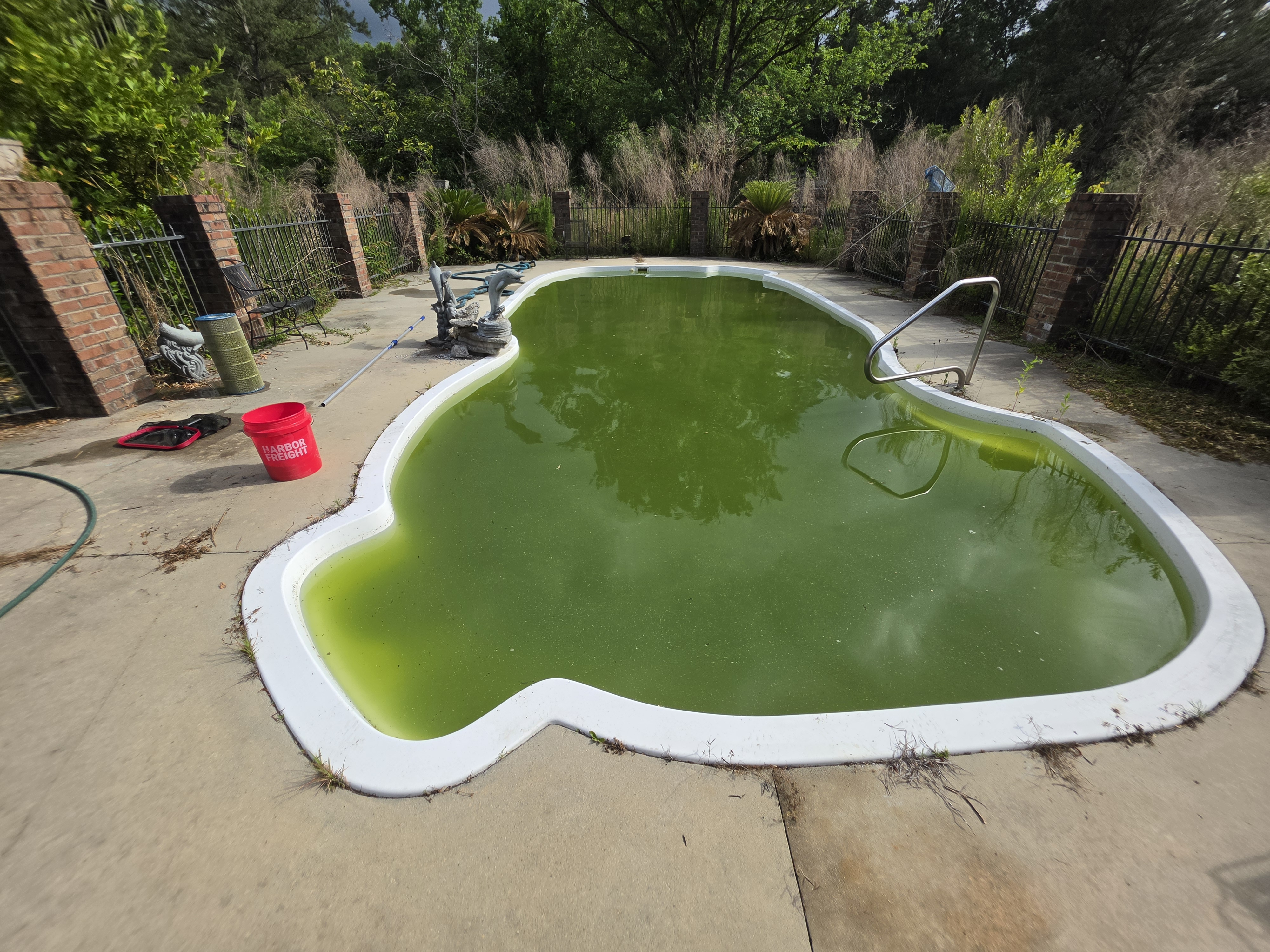 Before — green pool