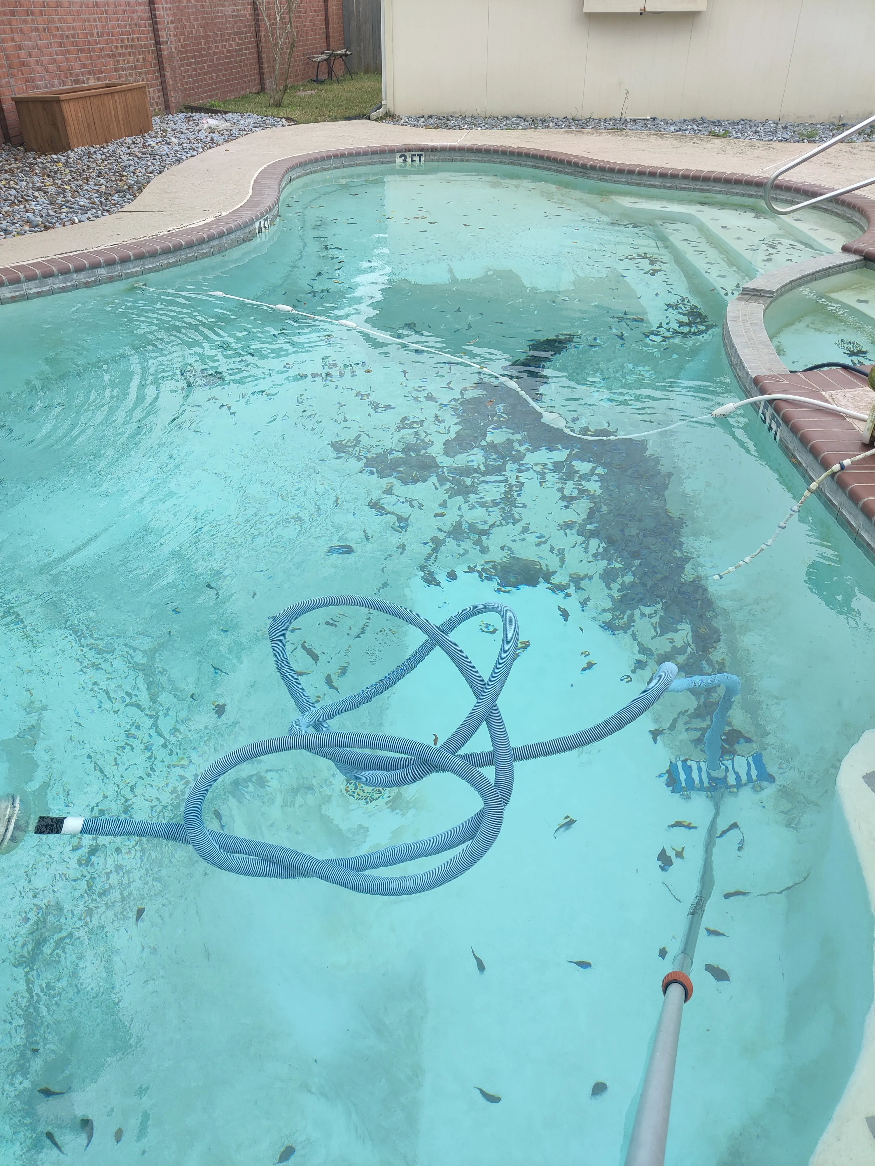 Pool vacuum hose removing debris from pool floor