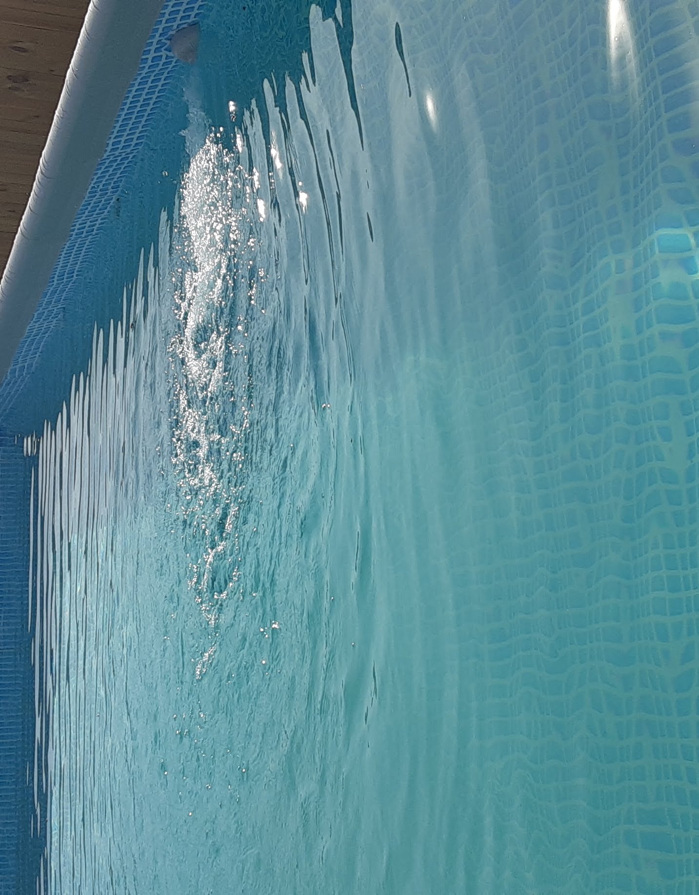 Rectangular pool with diving board after cleaning service
