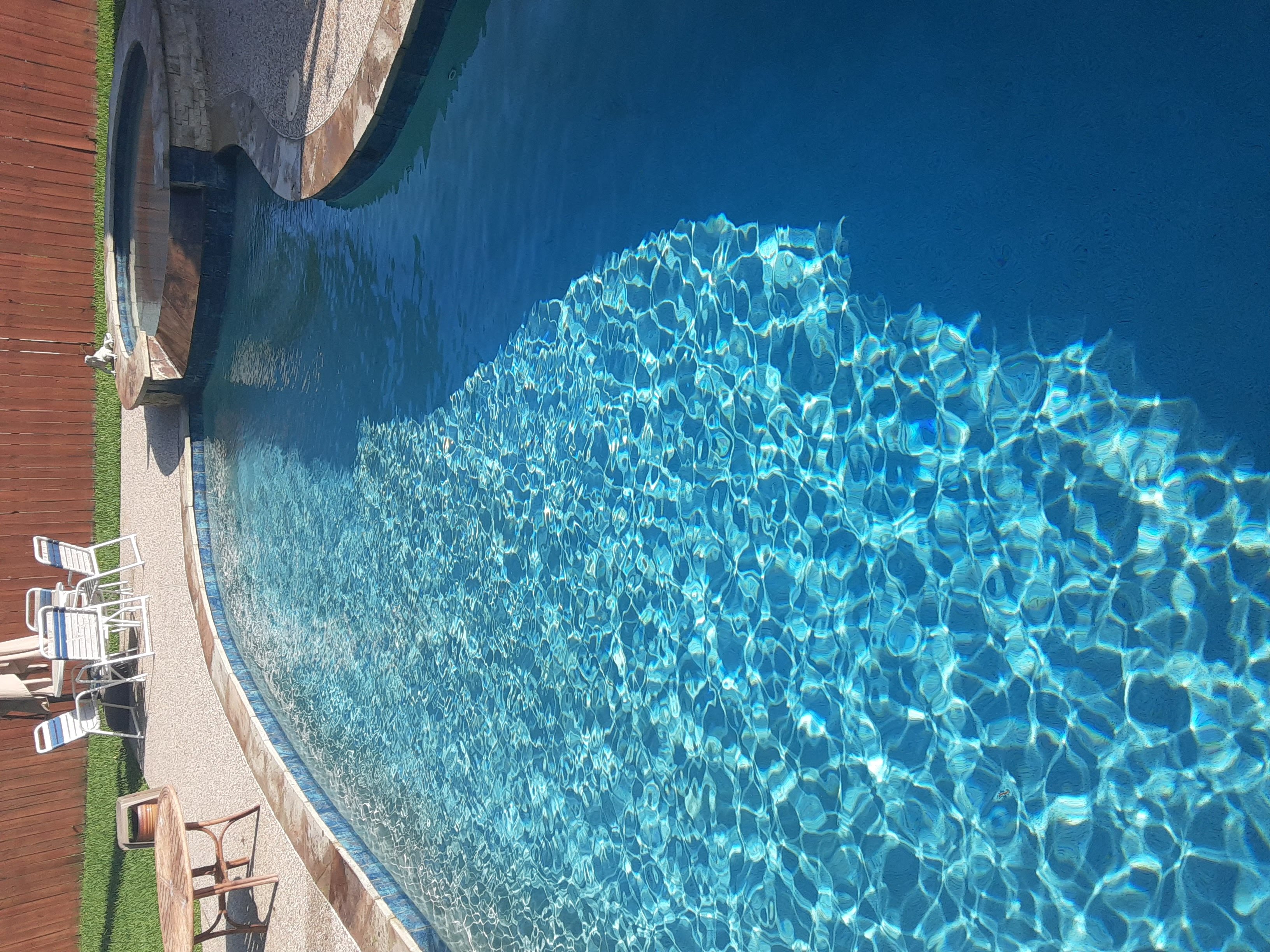 Beautiful maintained pool in South Carolina backyard by The Pool Company
